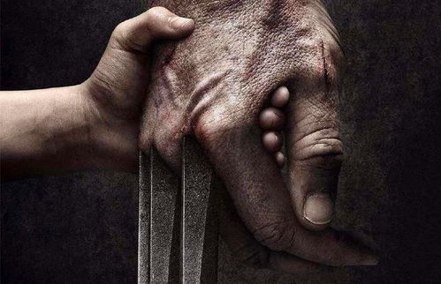 金刚狼4破土重生(金刚狼4破土重生在线高清) 金刚狼4破土重生(金刚狼4破土重生在线高清)