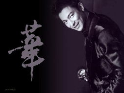 刘德华歌曲(刘德华歌曲大全) 刘德华歌曲(刘德华歌曲大全)