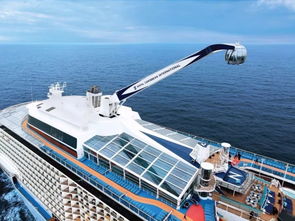 365dni游艇上是怎么拍的（365dni游艇上是真的还是假的）