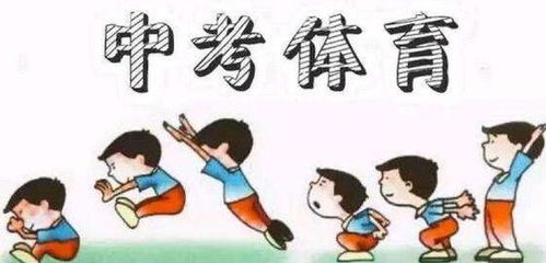 我的体育老师（我的体育老师全集免费）