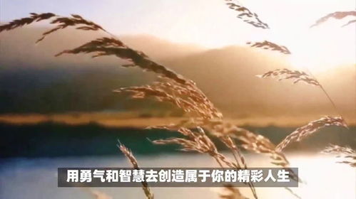 句句暖人心（祝福的话语,句句暖人心）