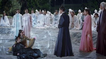 三生三世十里桃花56集免费观看（三生三世十里桃花56集免费观看视频）