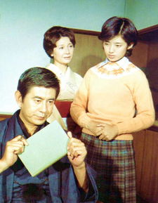 日本经典一电视剧(日本经典电视剧血疑) 日本经典一电视剧(日本经典电视剧血疑)