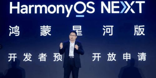 里面也请好好对待五集（里面也请好好对待五集视频在线看免费版）