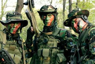 15部必看特种部队电视剧中国(十部必看特种部队电视剧中国) 15部必看特种部队电视剧中国(十部必看特种部队电视剧中国)