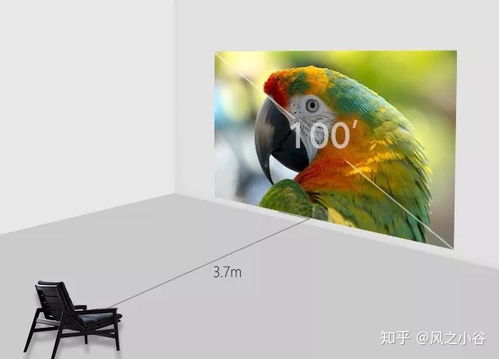 2022公认口碑最好的电视机(2020目前口碑最好的电视机) 2022公认口碑最好的电视机(2020目前口碑最好的电视机)