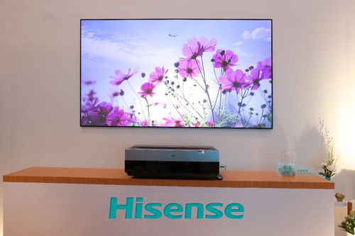 电视排行榜前十名品牌有哪些（十大名牌电视）