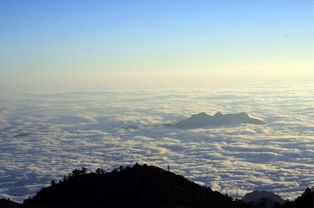 一起又看流星雨云海恢复记忆（一起又看流星雨云海恢复记忆是哪一集）