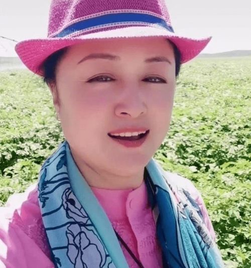 乡村爱情第十五部（乡村爱情第十五部免费观看完整版）