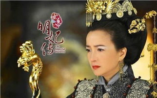 女医明妃传（女医明妃传 电视剧）