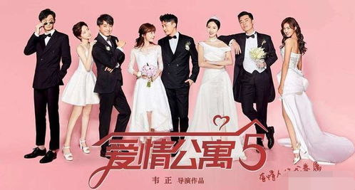 爱情公寓5在哪看(爱情公寓5哪里看免费) 爱情公寓5在哪看(爱情公寓5哪里看免费)