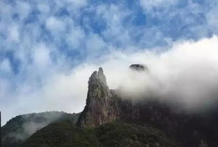 除却巫山不是云（除却巫山不是云是谁写的）