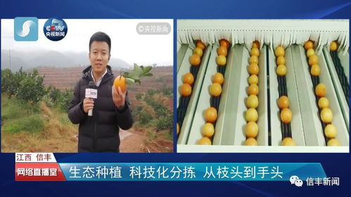 央视13套在线直播(央视13套在线直播观看高清版) 央视13套在线直播(央视13套在线直播观看高清版)