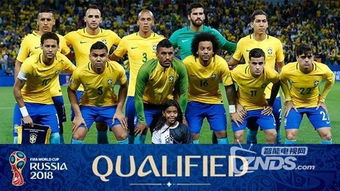 巴西夺冠世界杯(巴西世界杯夺冠时间) 巴西夺冠世界杯(巴西世界杯夺冠时间)