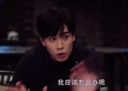 电视剧亲爱的热爱的（电视剧亲爱的热爱的第二季）