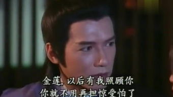 恨锁金瓶（恨锁金瓶完整版电视连续剧）