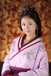美人心计电视剧免费观看完整版（美人心计电视剧）
