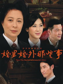 婚内婚外电视剧全集免费观看高清（婚内婚外那些事电视剧全集免费观看高清）