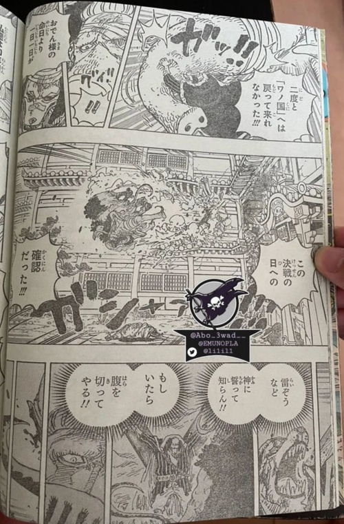 海贼王漫画1023话完整版（海贼王漫画1023话完整版免费阅读）