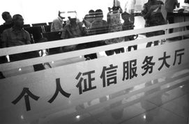 中国人（中国人民银行征信中心官网）
