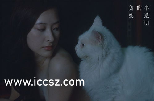 晨光影院电视剧在线看（星辰影院在线观看免费观看电视）