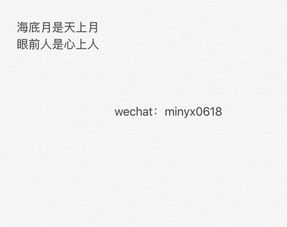 我不喜欢这世界我只喜欢你（我不喜欢这世界我只喜欢你TXT下载）