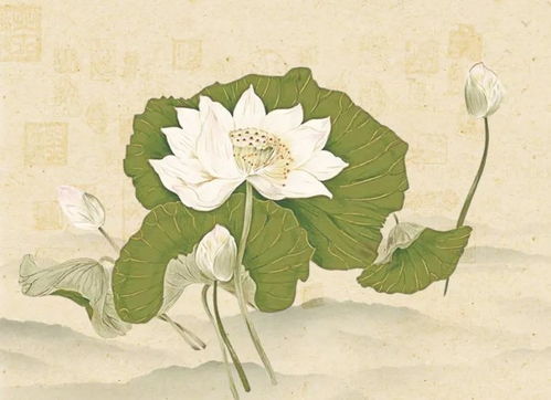 红莲两瓣夹玉柱最经典四句话（红莲啥意思）