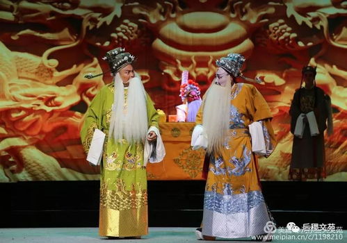 关于玉蒲剧1的信息 关于玉蒲剧1的信息