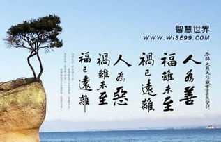 年经善良的子在线观看(善良的人年轻经典句子) 年经善良的子在线观看(善良的人年轻经典句子)