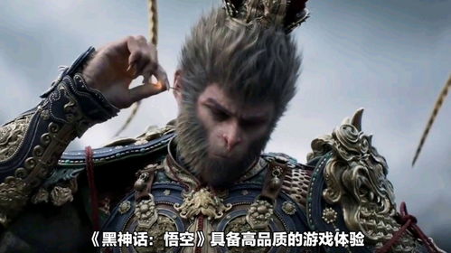 悟空电影网免费（悟空电影网免费高清动漫）