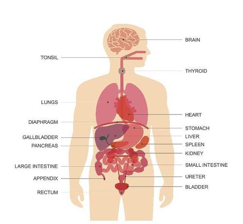 怎么确定是不是克罗恩病（怎么确定是不是克罗恩病的症状）